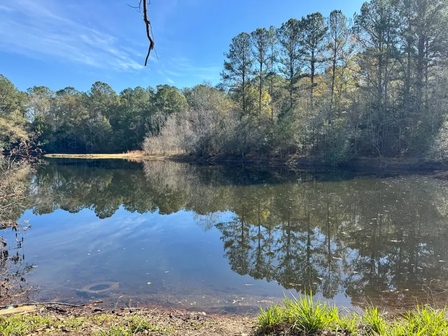 0 Gibson Street, Elba, AL 36323 - #3