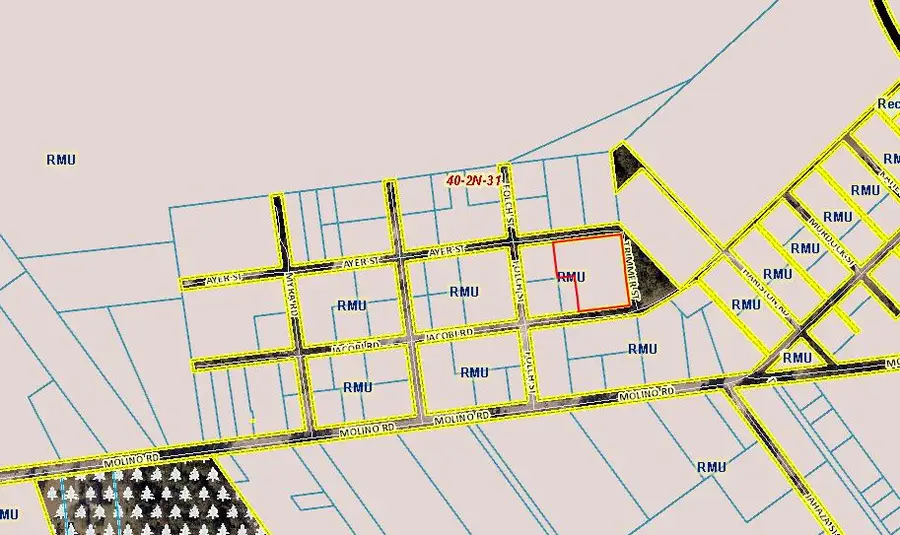 xxx Jocobi At Trimmer Road, Molino, FL 32577 - #3