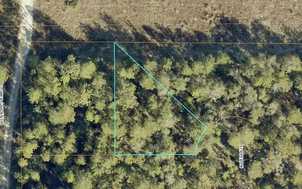 Lot 13 Flipper Lane, DeFuniak Springs, FL 32433