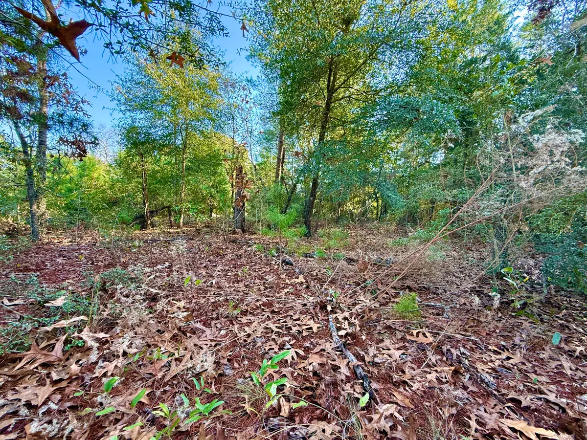 Lot 6 Blk 14 E Tiger Lily Lane, Defuniak Springs, FL 32433 - Image #1