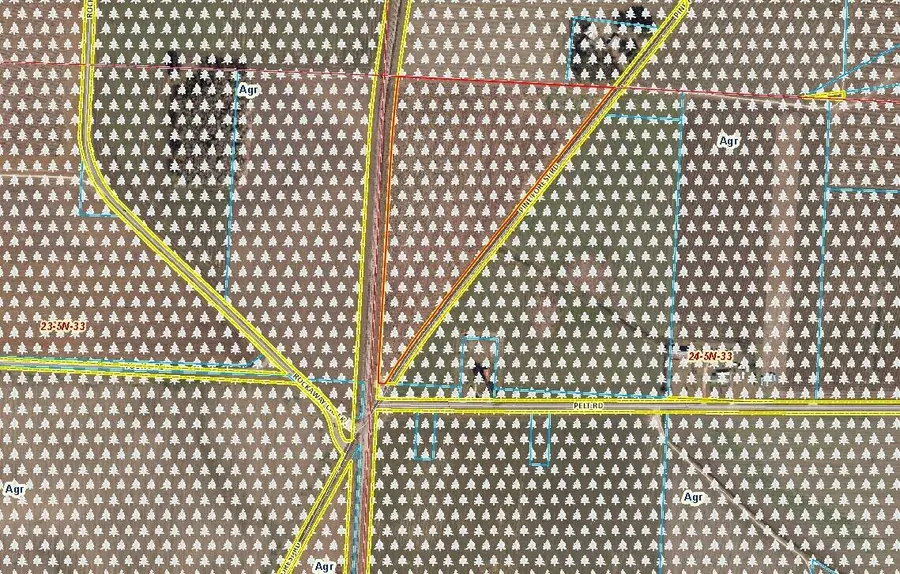 6000 Pine Forest Road, Walnut Hill, FL 32568 - Image #2