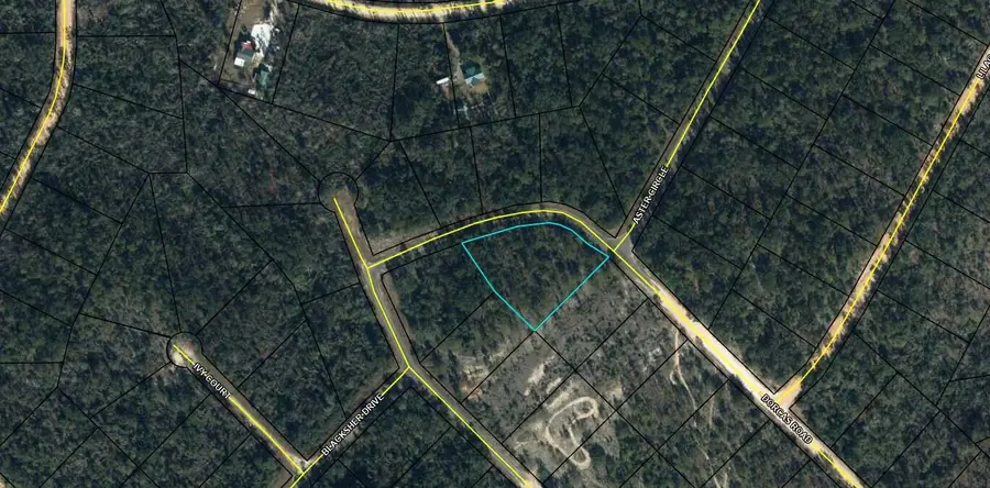 Lot 17 Dorcas Road, Marianna, FL 32448 - Image #2