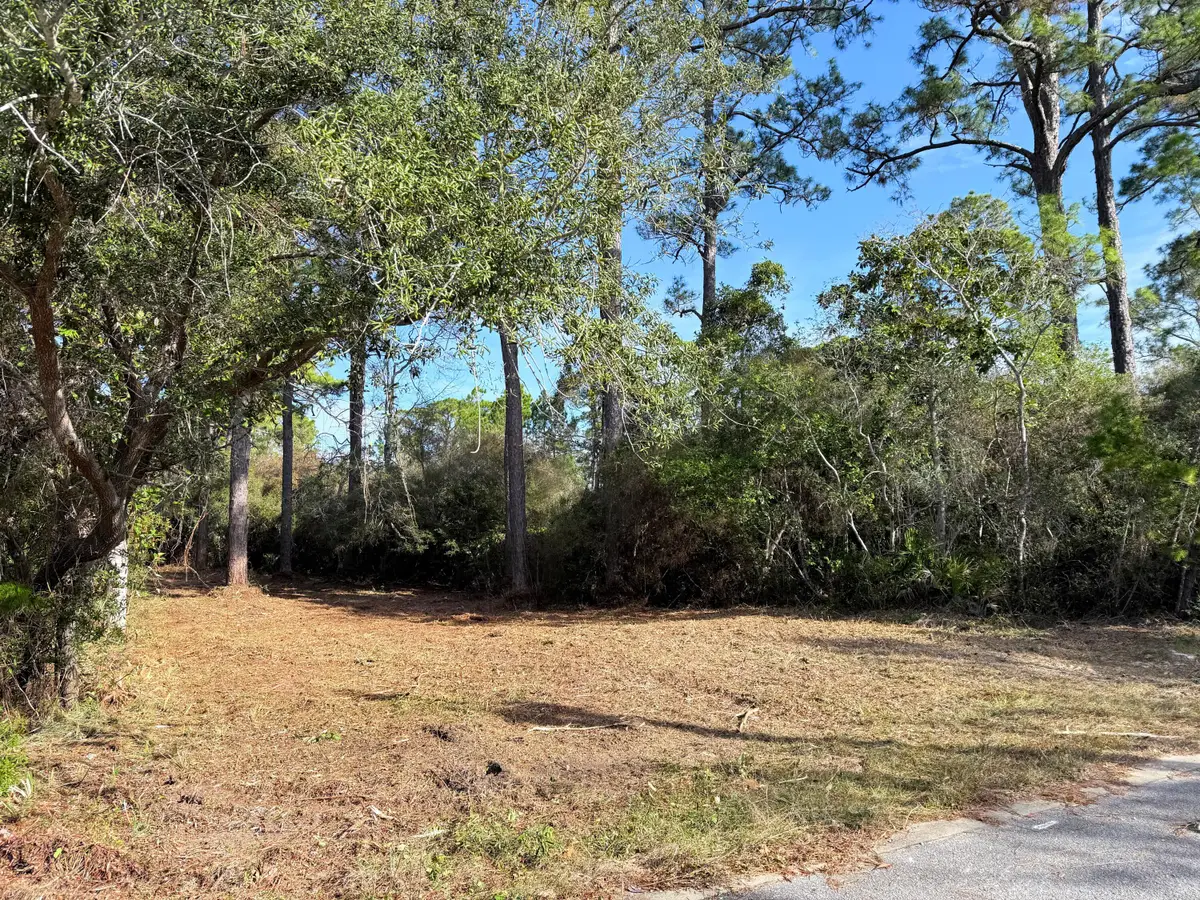 Lot 24 Greenbriar Lane, Santa Rosa Beach, FL 32459 - Image #1