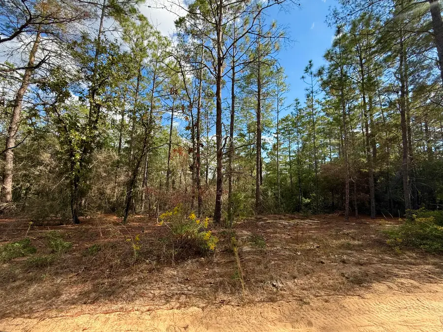 Lot 29 Cleawater Drive, Defuniak Springs, FL 32433 - Image #2