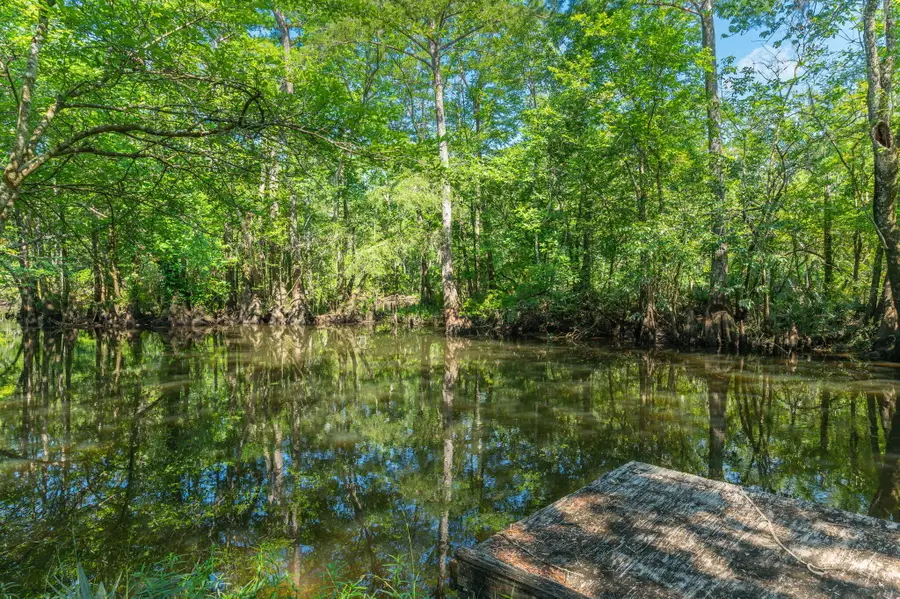 3612 Roche Ave, Vernon, FL 32462 - Image #2