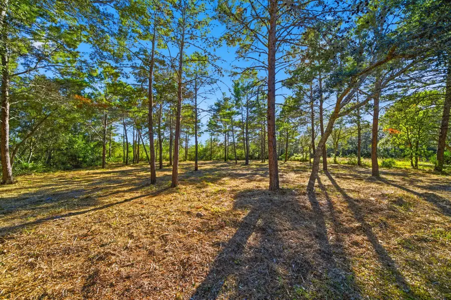 Lot 4 Bayou Point Drive, Santa Rosa Beach, FL 32459 - Image #3