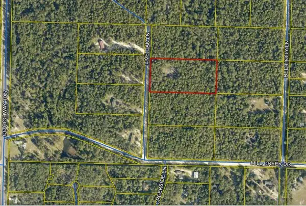 TBD Live Oak Lane, DeFuniak Springs, FL 32433