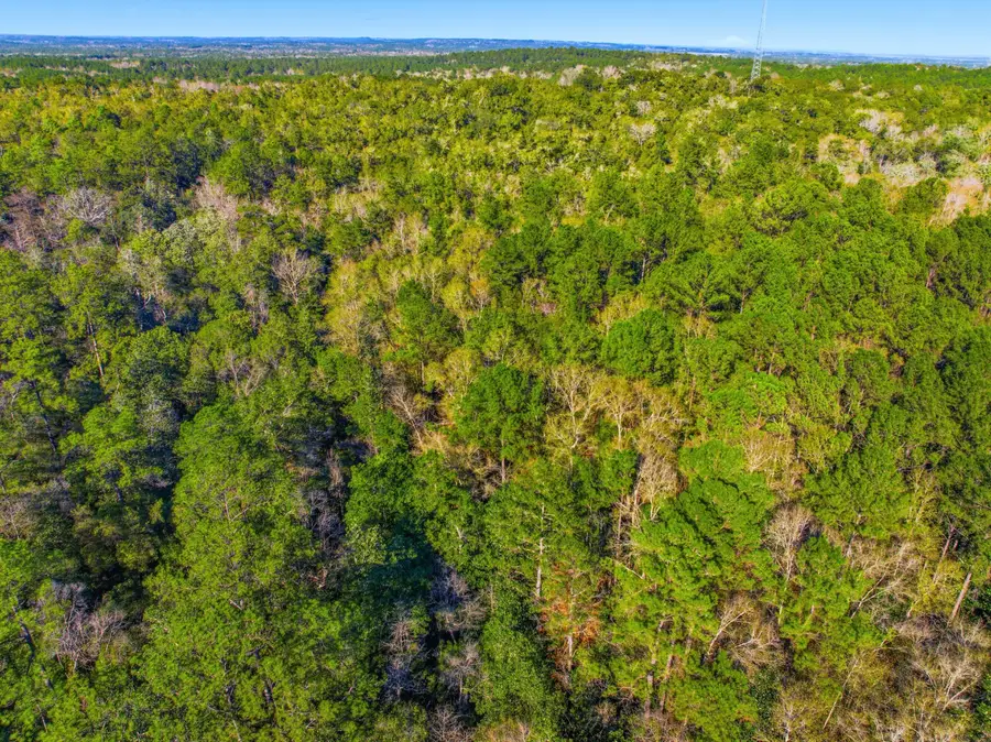 21 Acres Rock Hill Road, Ponce De Leon, FL 32455 - Image #3