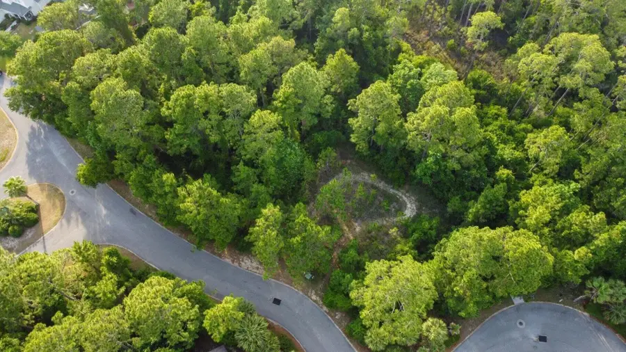 Lot 28 Rivercrest Circle, Santa Rosa Beach, FL 32459 - Image #3