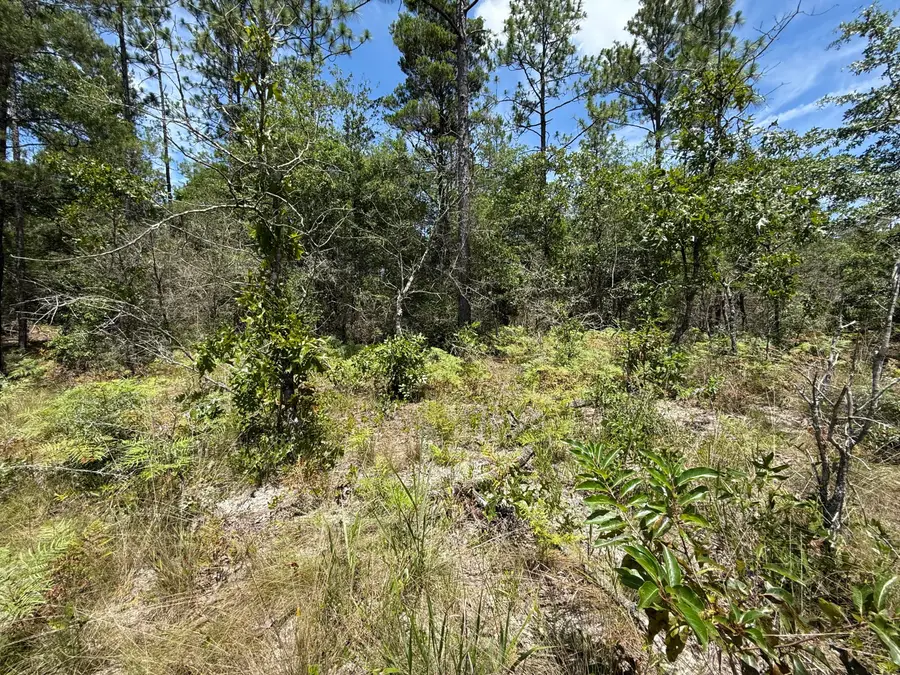 Lot 38 Blk 68 On Clearwater Drive, Defuniak Springs, FL 32433 - Image #3