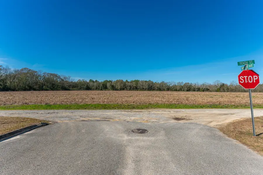 56 Lots 10th Street, Florala, AL 36442 - #2