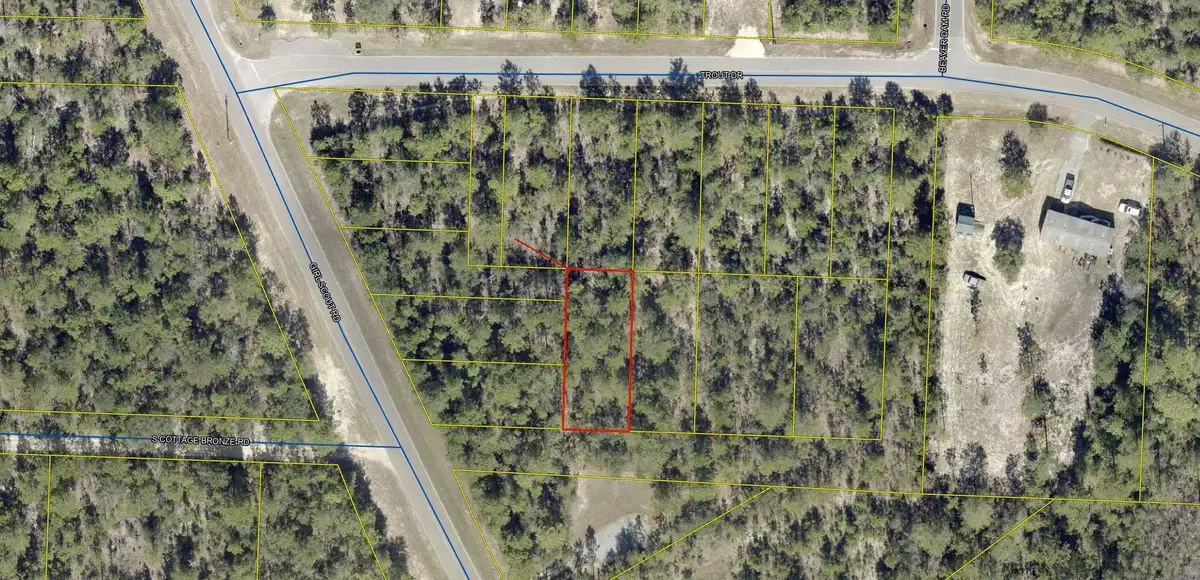 Lots 23/24 Off Girl Scout Road, Defuniak Springs, FL 32433 - Image #1