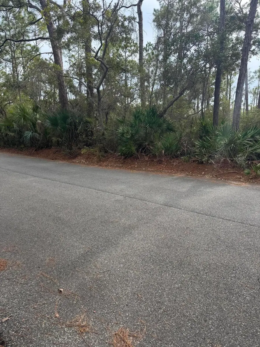 1443 Dove Lane, Saint George Island, FL 32328 - #2