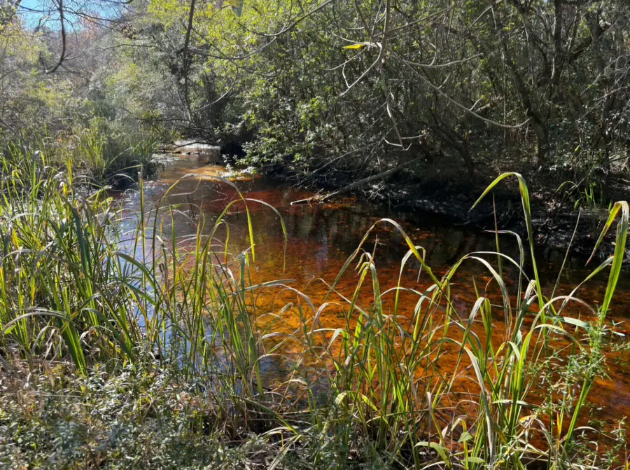 140 Stencel Drive, Vernon, FL 32462 - Image #2