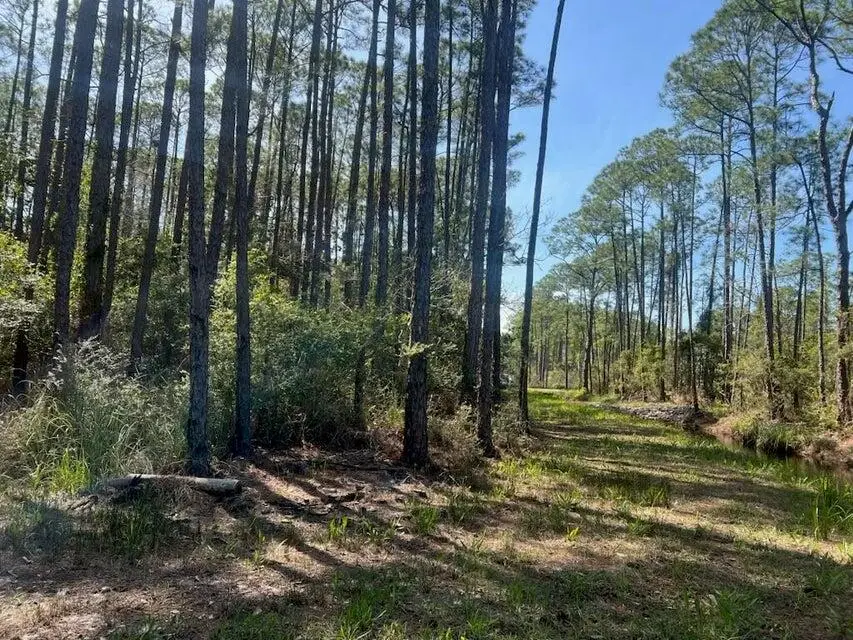 Lot 4 Whisper Lane, Santa Rosa Beach, FL 32459 - Image #3