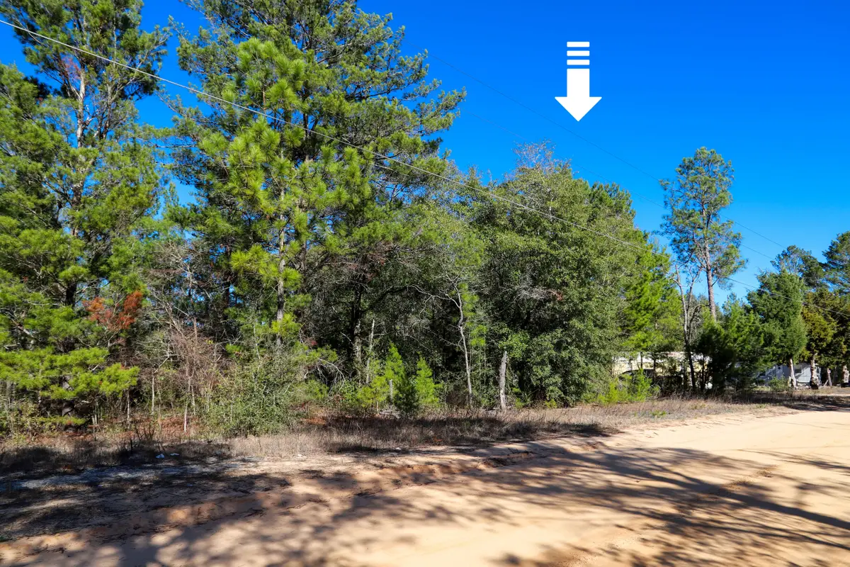 LOT 23 E Marigold East Avenue, Defuniak Springs, FL 32433 - #1