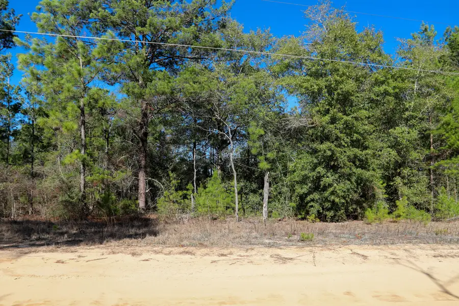 LOT 23 E Marigold East Avenue, Defuniak Springs, FL 32433 - #2