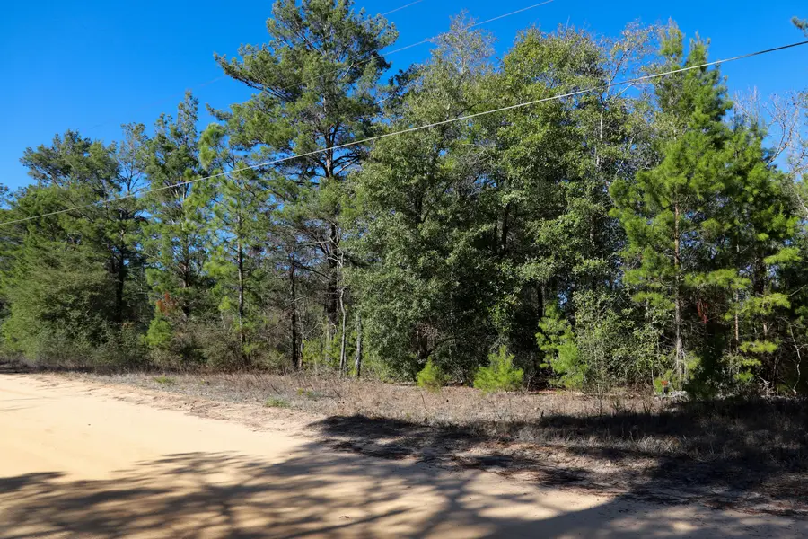 LOT 23 E Marigold East Avenue, Defuniak Springs, FL 32433 - #3