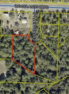 TBD Lucky Leaf Lane, Defuniak Springs, FL 32433 - #1