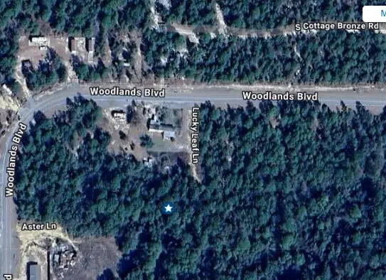 TBD Lucky Leaf Lane, Defuniak Springs, FL 32433 - #2