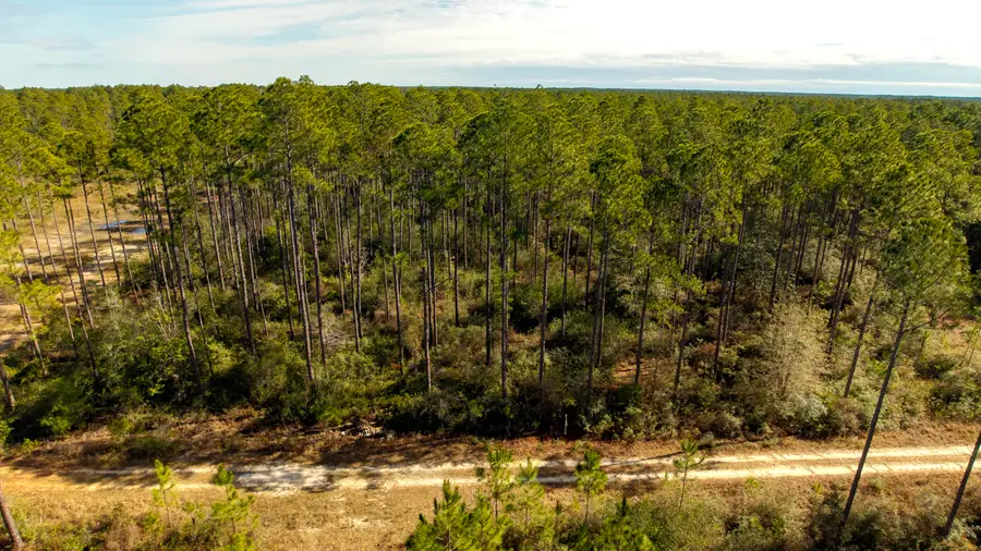 TBD Tpke Crk Drive, Freeport, FL 32439 - #2