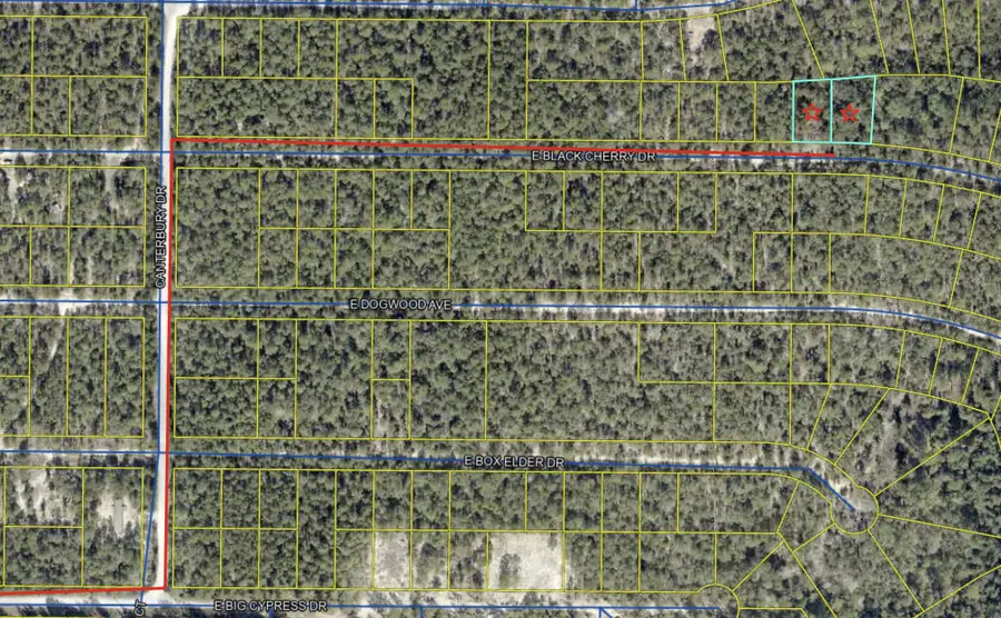 lot 28-29 E Black Cherry Drive, Defuniak Springs, FL 32433 - #2