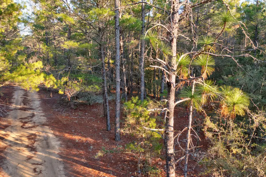 .92 Duke Drive, Defuniak Springs, FL 32433 - #3