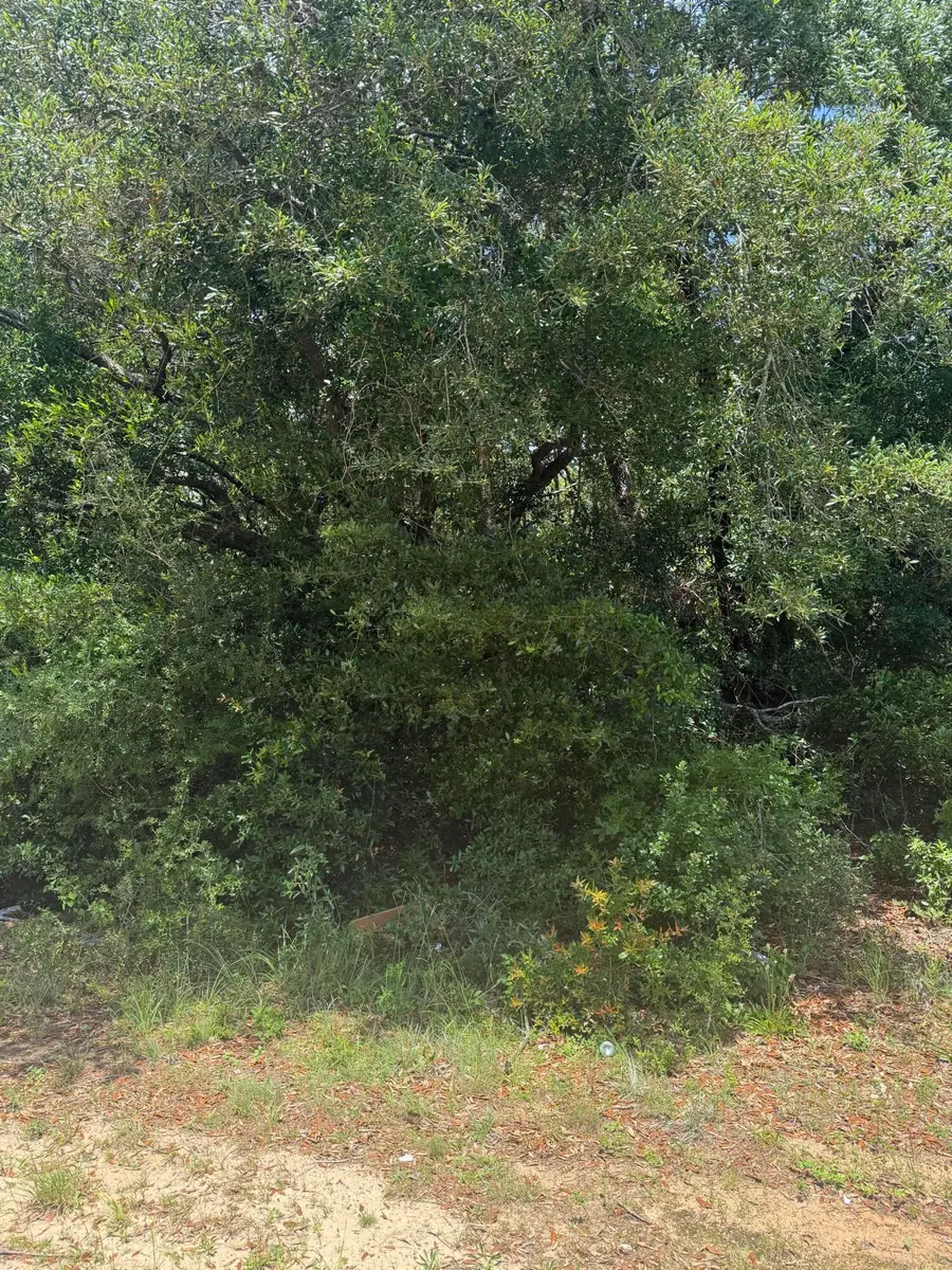 2044 Salamanca Street, Navarre, FL 32566 - Image #3