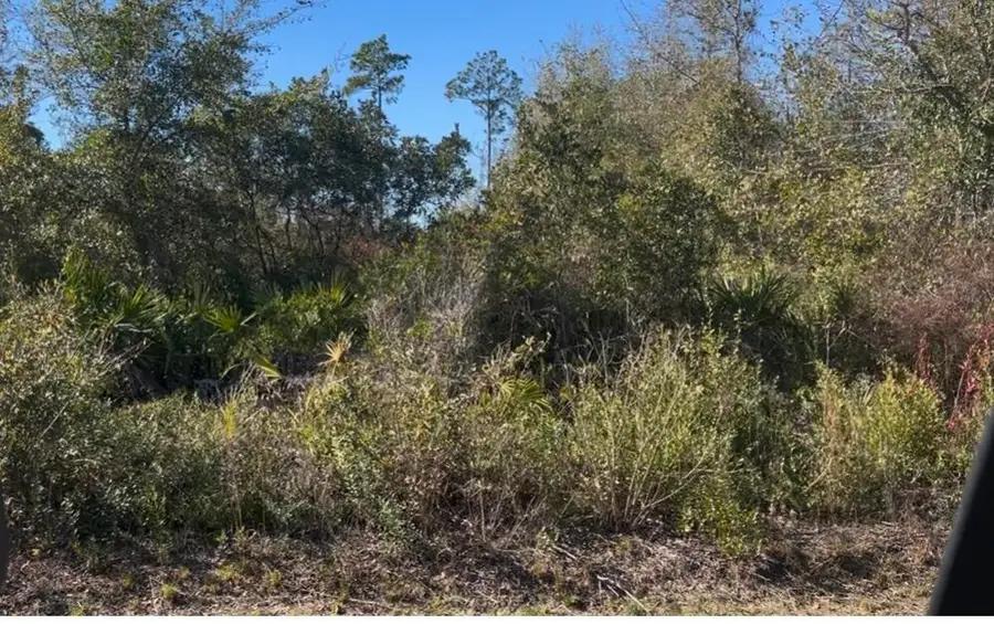 0 N Patrick Street, Port Saint Joe, FL 32456 - #2