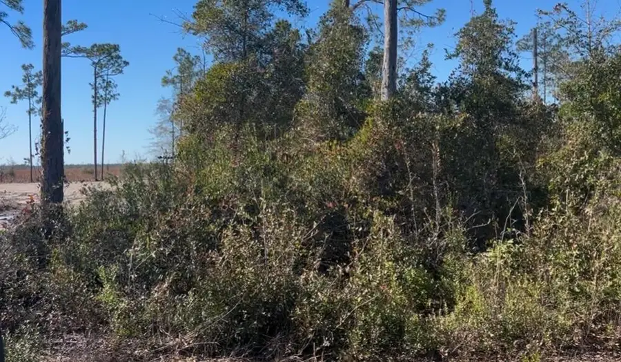 0 N Patrick Street, Port Saint Joe, FL 32456 - #3