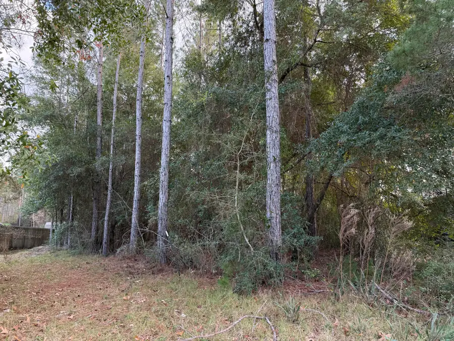 LOT 23 Whispering Way, Freeport, FL 32439 - Image #2