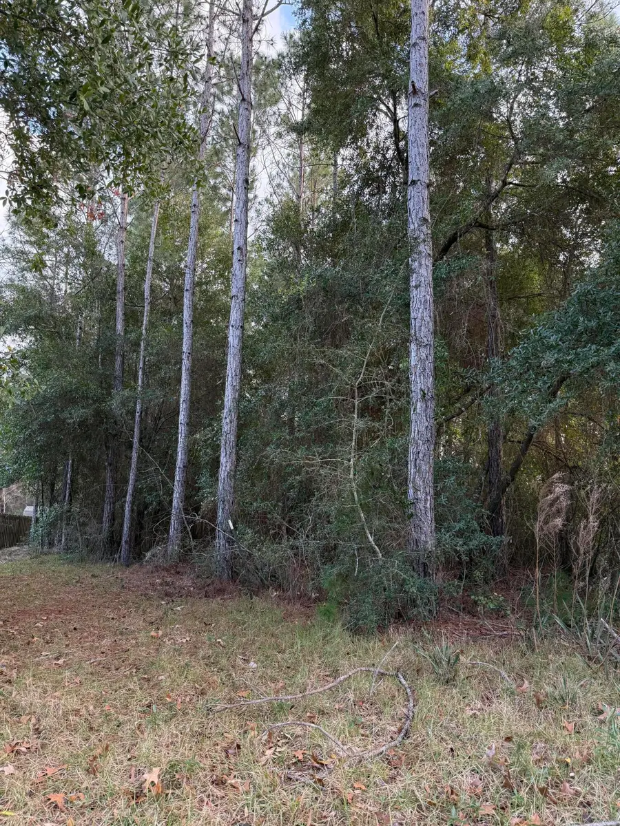 LOT 23 Whispering Way, Freeport, FL 32439 - Image #3