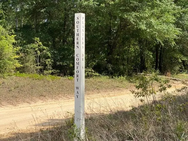 TBD Southern Comfort Way, Laurel Hill, FL 32567 - Image #3