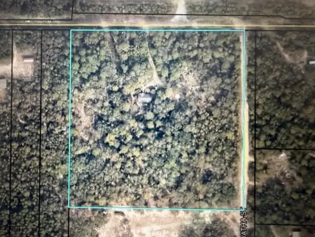 TBD Parcel B+/- 2 Ac Trawick Creek Road, Holt, FL 32564 - Image #2