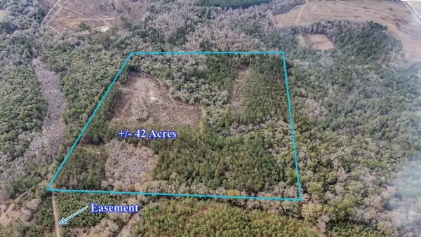 4769 Davis Rd, Florala, AL 36442