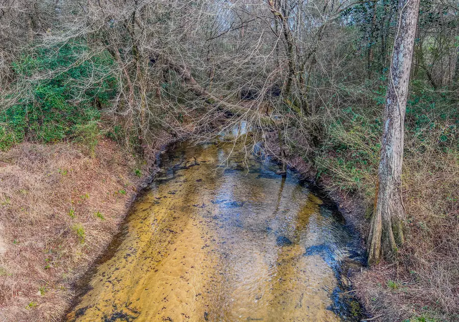 4769 Davis Rd, Florala, AL 36442 - #3