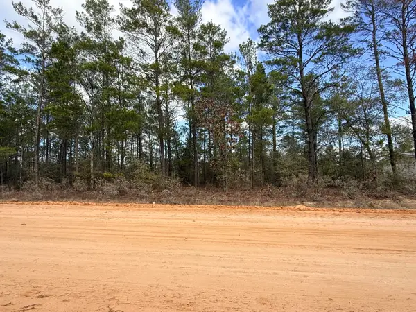 Lot 2 E Violet East Lane, DeFuniak Springs, FL 32433