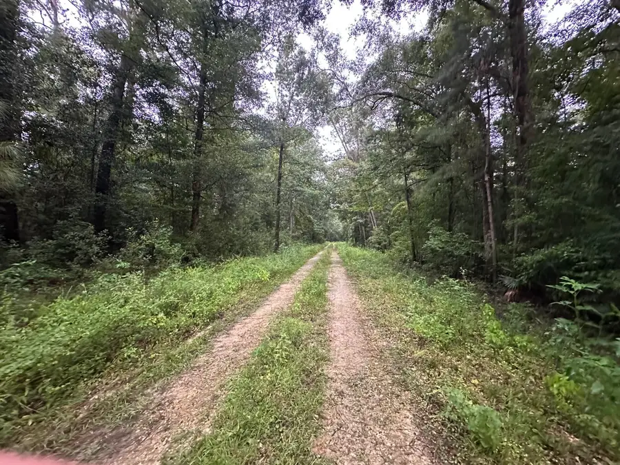 210 Riverside Circle, Wewahitchka, FL 32465 - #3