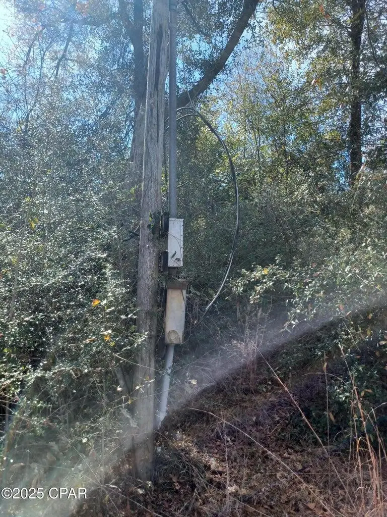 5610 Dwan Lane, Panama City, FL 32404 - Image #3