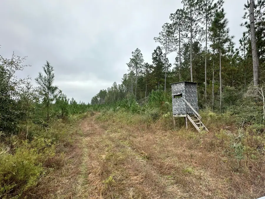 B & D Millside Road, Laurel Hill, FL 32567 - Image #3