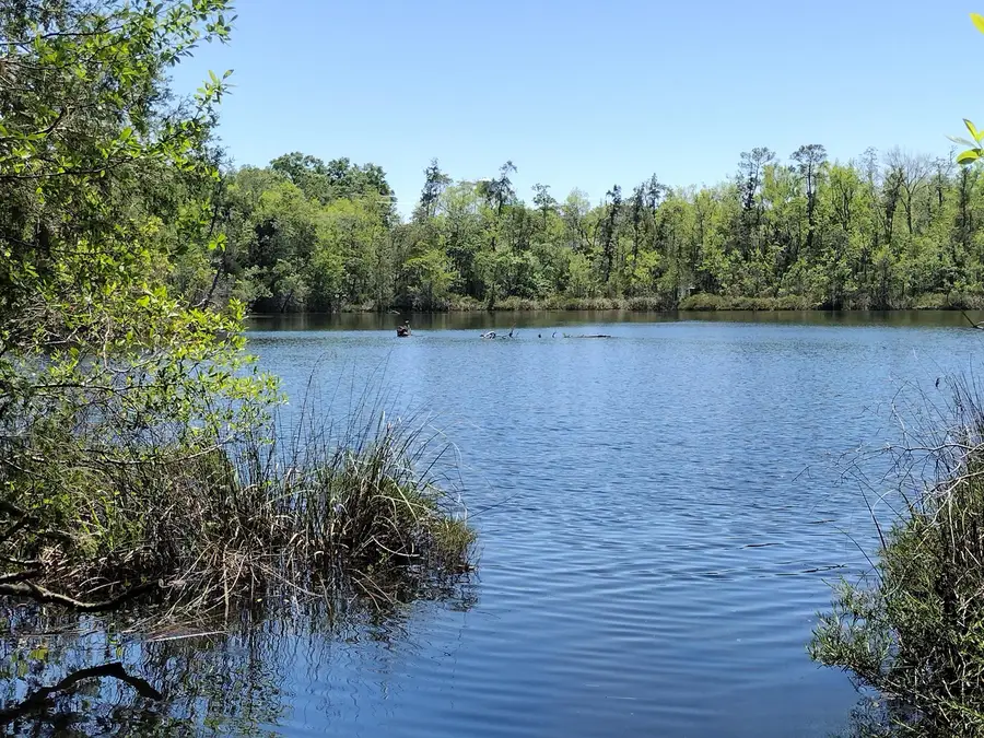 4611 Gunter Road, Milton, FL 32570 - #2