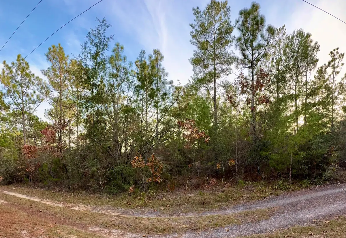 Lots 9-11 Tangerine & Lot 2 Girl Scout, Defuniak Springs, FL 32433 - Image #1