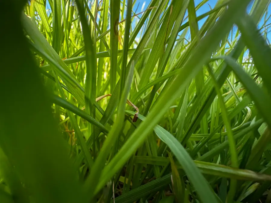 5+/- AC Charlie Day Road, Baker, FL 32531 - #2