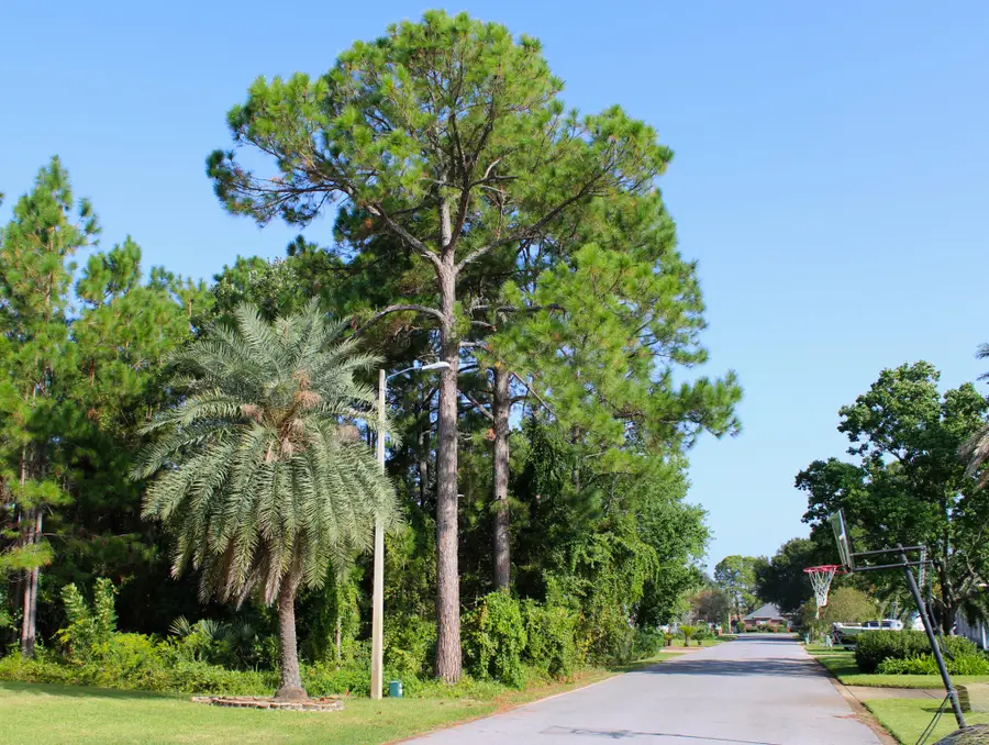 1621 Mauna Kea Court, Gulf Breeze, FL 32563 - #2
