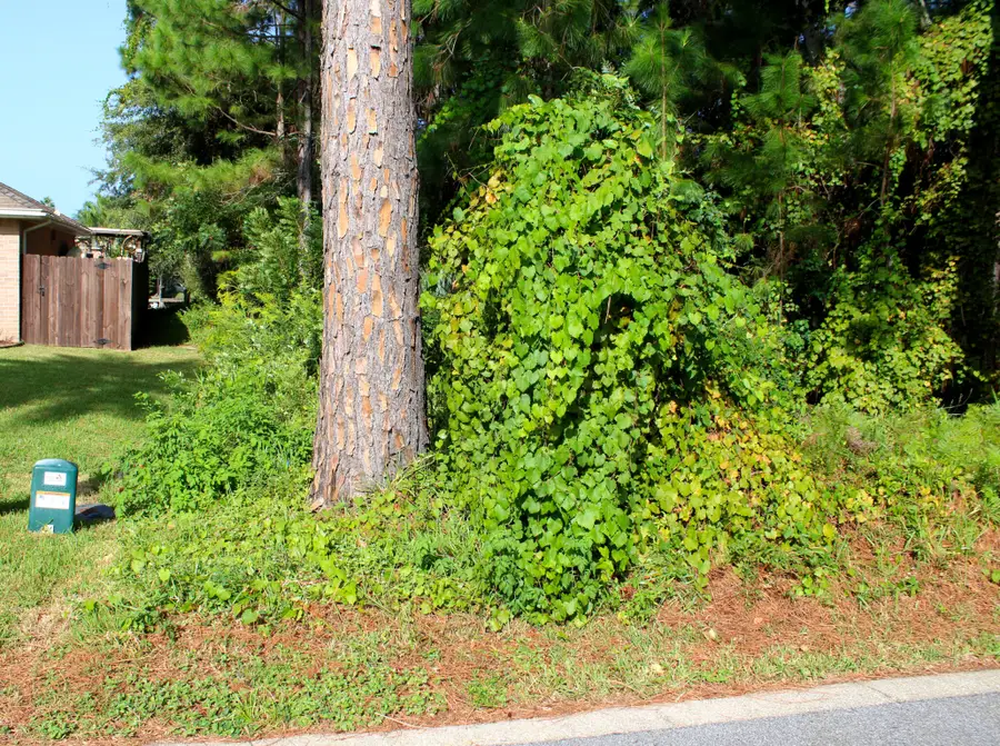 1621 Mauna Kea Court, Gulf Breeze, FL 32563 - #3
