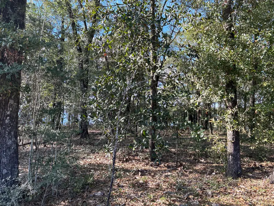 Lot 57 Seacoast Way, Defuniak Springs, FL 32433 - #2