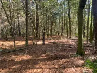 A,B,C W Sunburst, Crestview, FL 32539 - #1