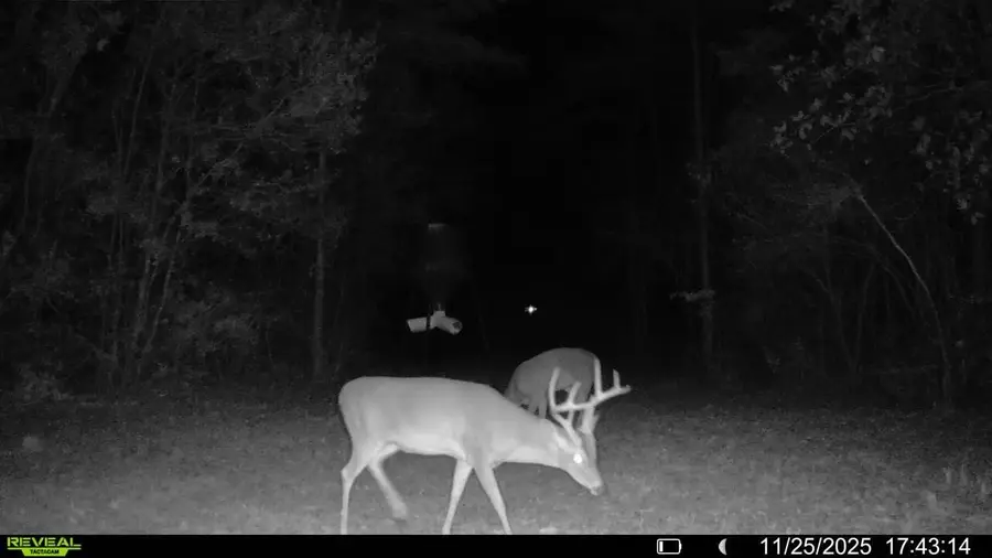 A,B,C W Sunburst, Crestview, FL 32539 - #3