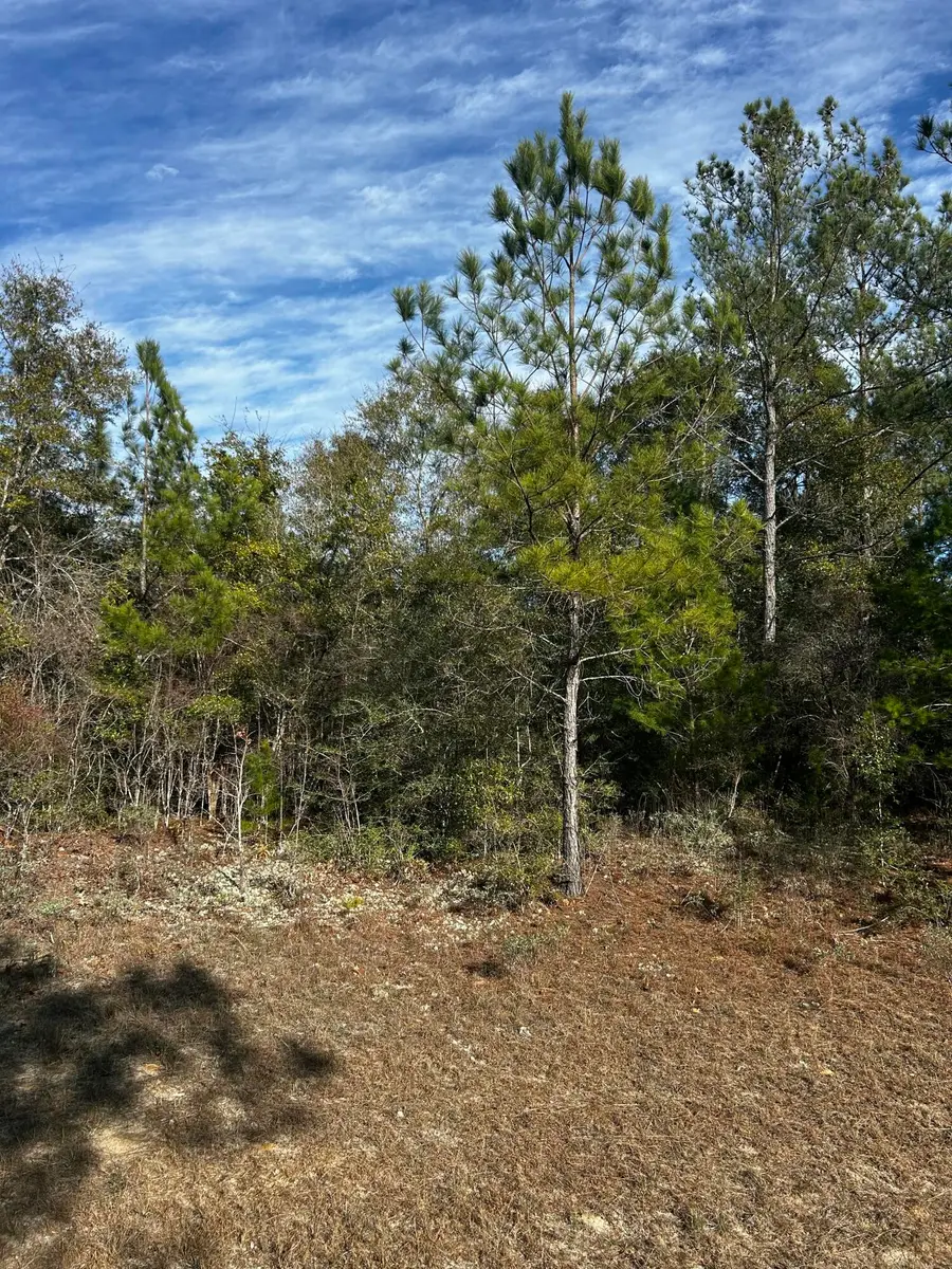 TBD Valiant Drive, Chipley, FL 32428 - #2