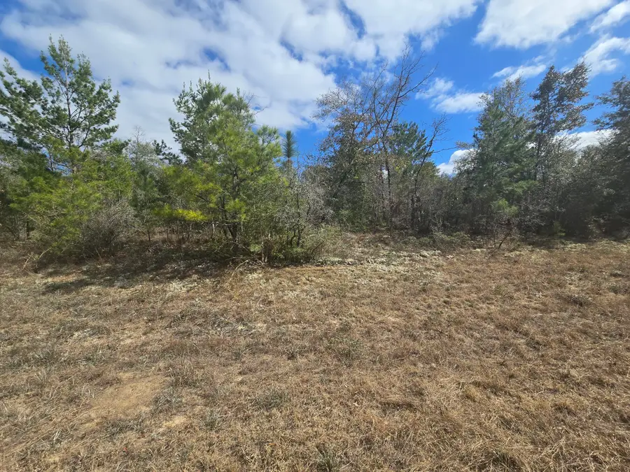 TBD Cranston Court, Chipley, FL 32428 - #2